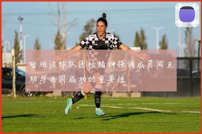 哈珀谈球队团结精神强调成员间互助与共同成功的重要性